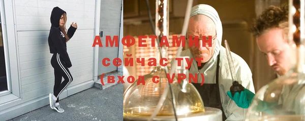 гидра Аркадак