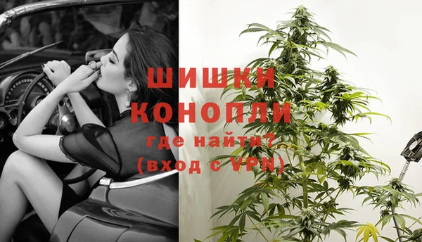 гидра Аркадак