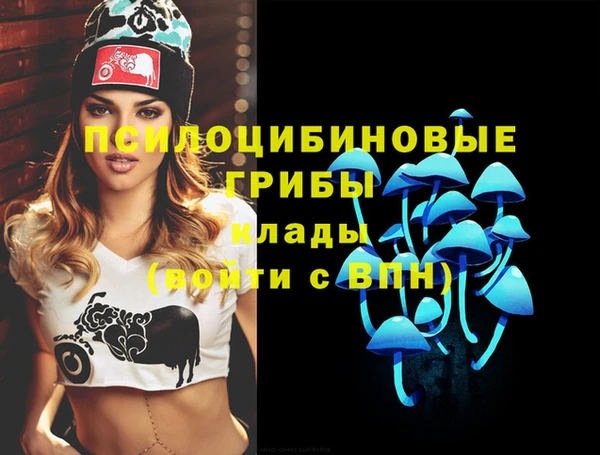 таблы Арсеньев