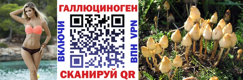 Псилоцибиновые грибы Cubensis  купить наркоту  Светлый 